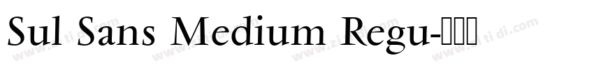 Sul Sans Medium Regu字体转换